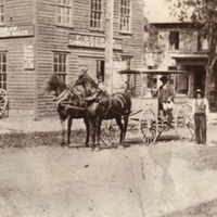 Horse Drawn Transportation in Potsdam