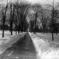 Ella Wheeler Glass-plate Negatives Collection - West Park in winter, 1902