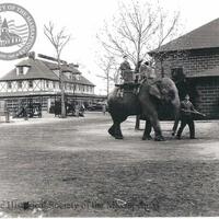Historical Society of the Massapequas Collection