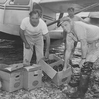 Perry B. Duryea Jr. unloading lobsters from a seaplane, date unknown.