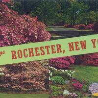 Greetings from Rochester, New York