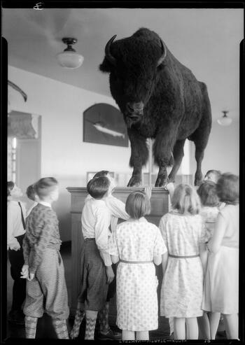 Children viewing Stuffy the Buffalo