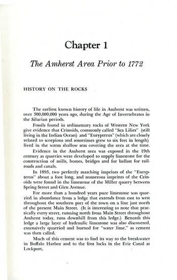 History of the Town of Amherst, New York, 1818-1965