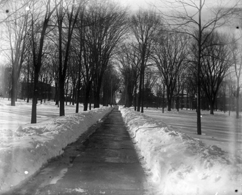 Ella Wheeler Glass-plate Negatives Collection - West Park in winter, 1902