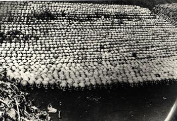 Stadium of Skulls