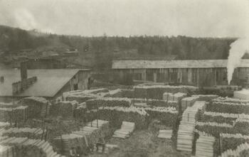 Emporium Lumber Company Photograph Collection