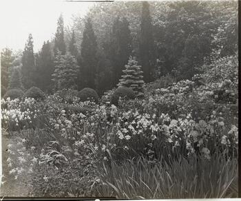 Killenworth Estate Garden c. 1918 (George Dupont Pratt)