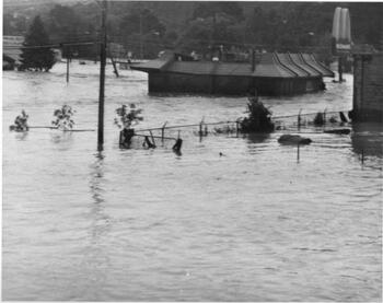 Flooded McDonald's