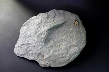 Angola shale