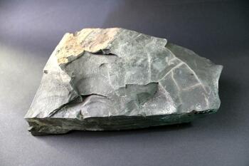 Another specimen of Angola shale